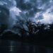 embracing cliched storytelling charm