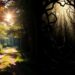 understanding narrative storytelling techniques