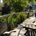 creative writing environments explored