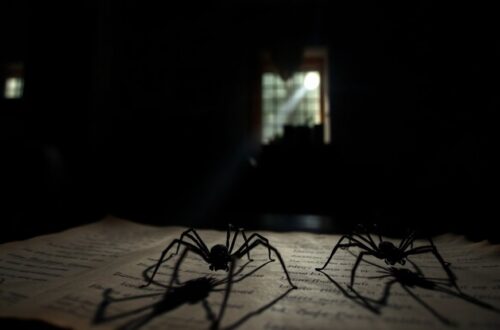 imagining fearsome arachnids